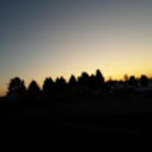 Meet your Posher, Cookie